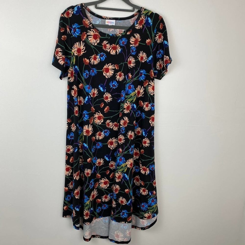 LulaRoe, short sleeve Hi-Low dress.